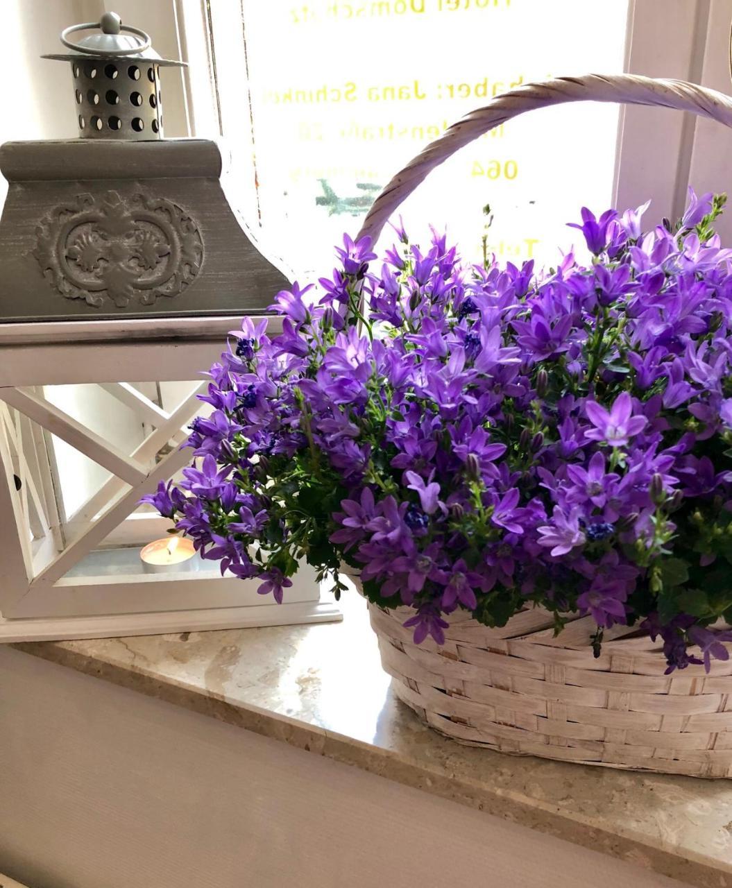 Hotel Domschatz Quedlinburg Dış mekan fotoğraf